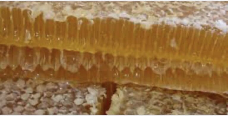 А ви б купили мед, який вам відрубали шматком? Я так. Розповідаю, чому