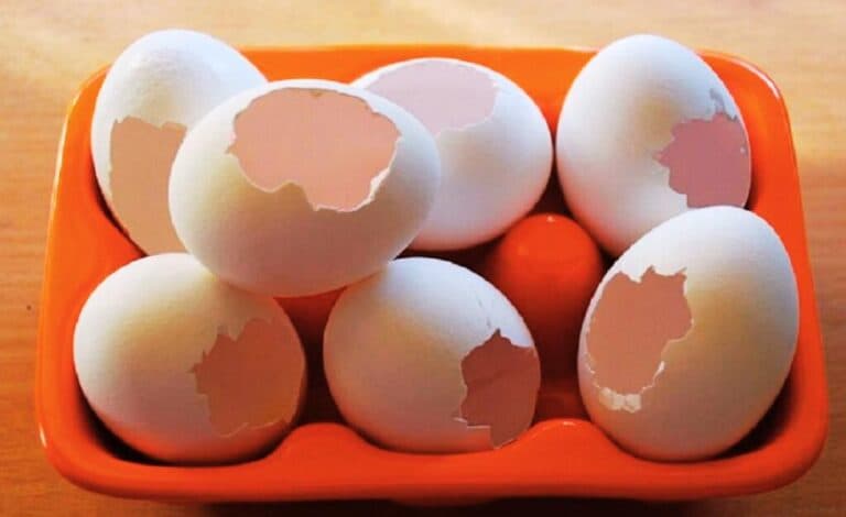 Три роки сусід збирав у всіх родичів яєчну шкаралупу й розкладав її на ділянці. Сусіди сміялися, а дізнавшись його секрет, почали робити так само