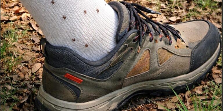 Як захиститися від кліщів на природі: кращі засоби та що робити, якщо він все таки вкусив