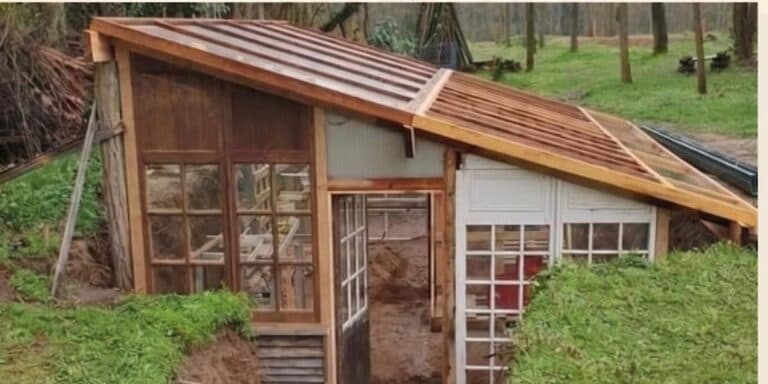 Зробив сам і вам раджу: як я збудував підземну теплицю для цілорічного врожаю