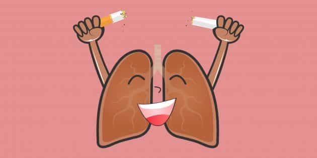 Дайджест Лайфхакера: кращі матеріали листопаду