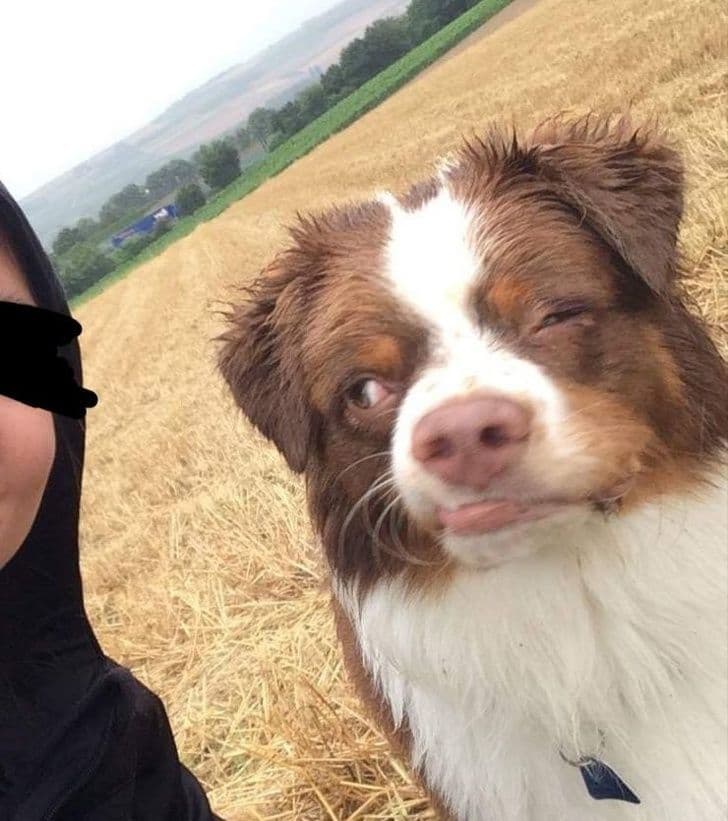 25 людей, які могли б зробити відмінний кадр, але не цього разу