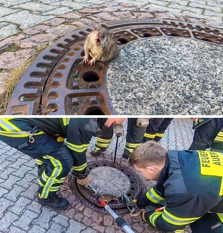 18 доказів того, що справжні герої не носять костюм Супермена