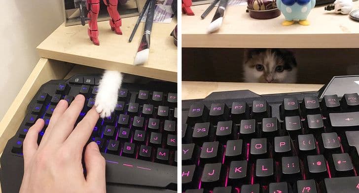 18 фото про самотність, героїв яких хочеться терміново обійняти (І весь світ заодно)