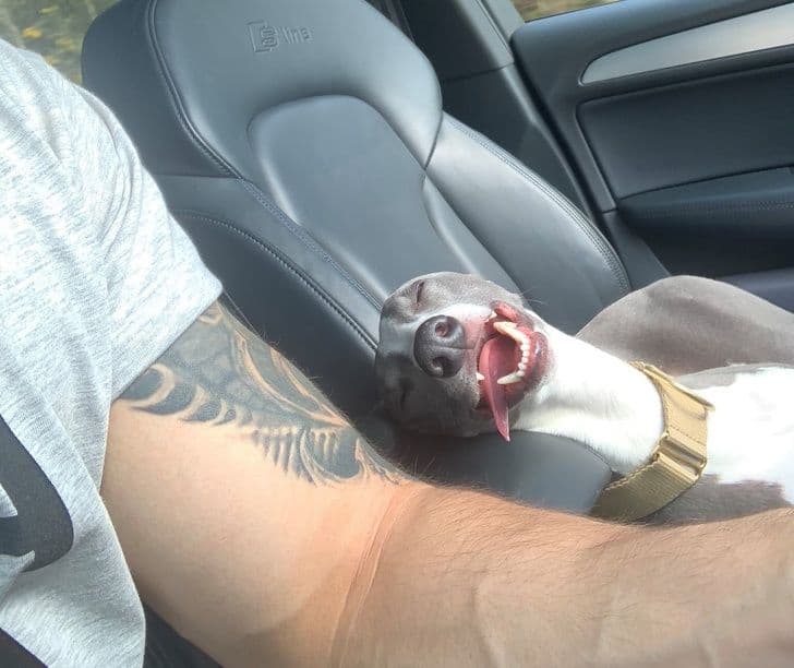 17 знімків, які розфарбують навіть самий похмурий день