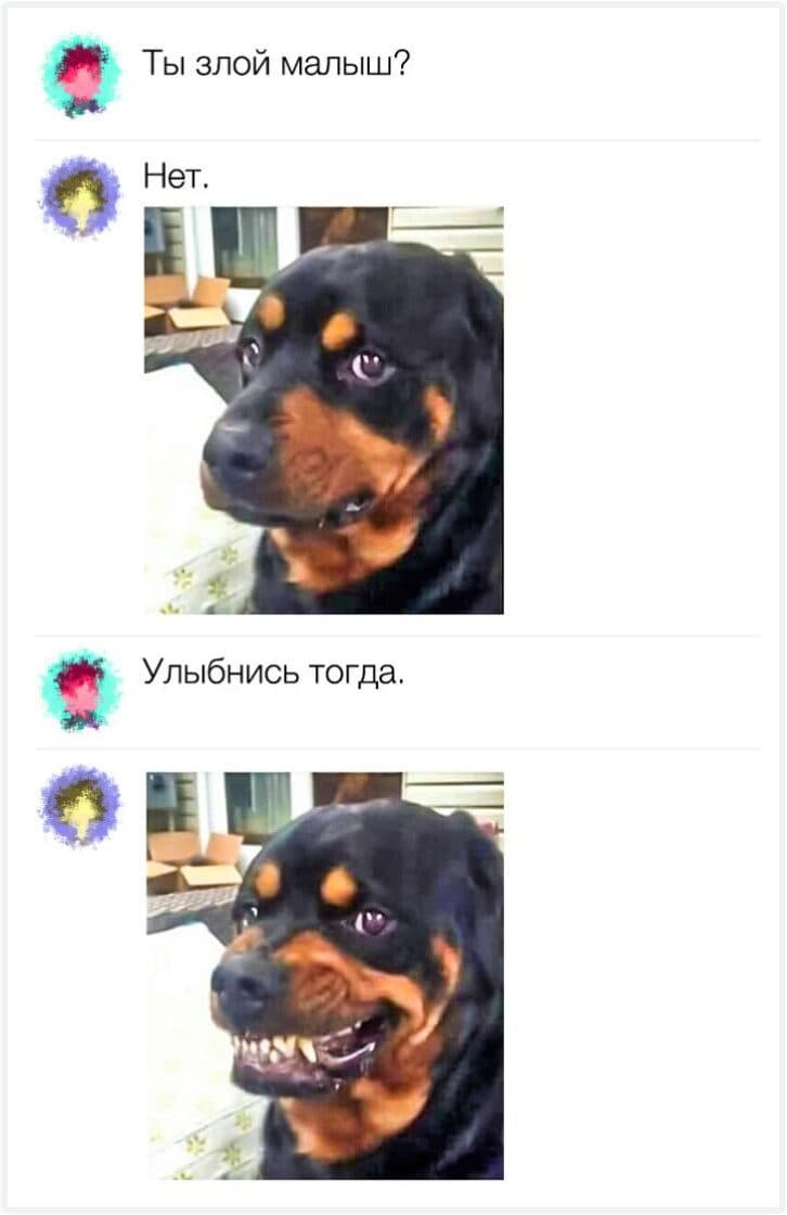 Коментарі від гуру дотепності і сарказму, які потрапили в яблучко