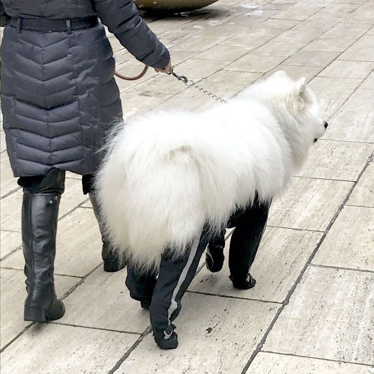 24 користувача мережі, які стоять на порозі грандіозного відкриття