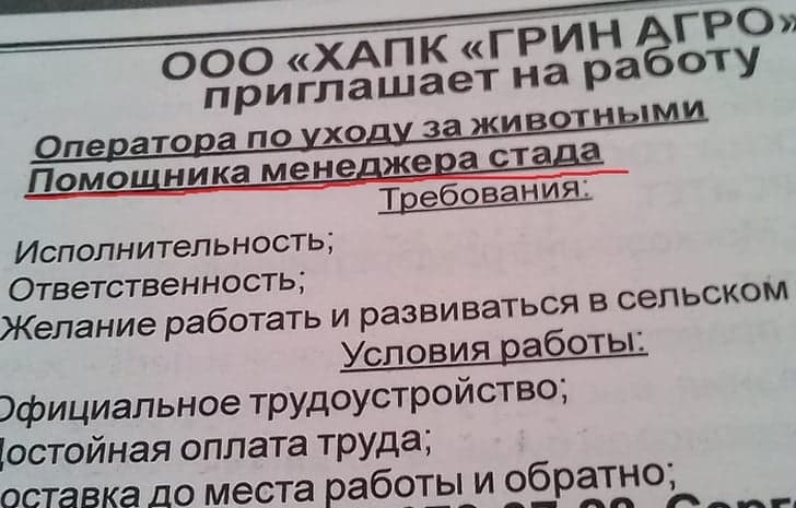 19 шедевральних оголошень, за кожним з яких ховається ціла історія