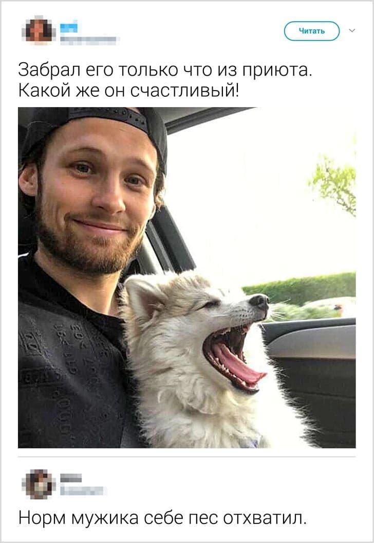 19 прикладів того, як дехто може одним коментарем відправити в нокаут