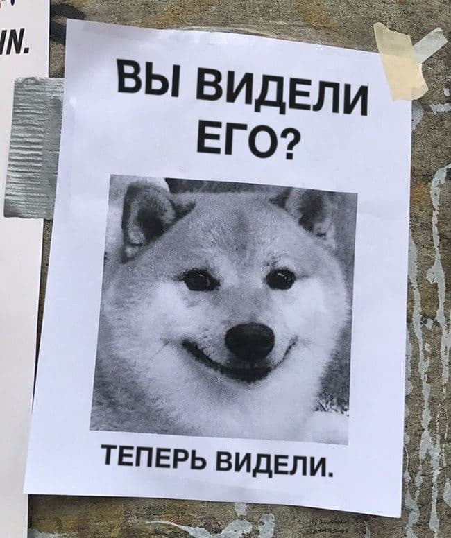 19 оголошень, в яких змішалися вся різноманітність і непередбачуваність нашого життя
