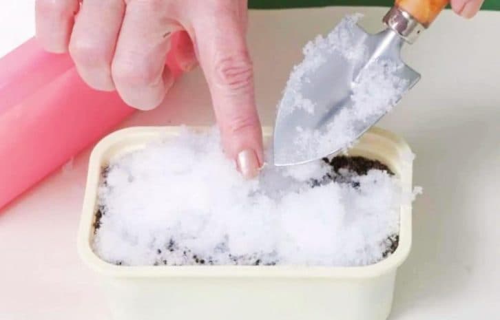 Городники здивуються: навіщо сіяти насіння помідорів у сніг