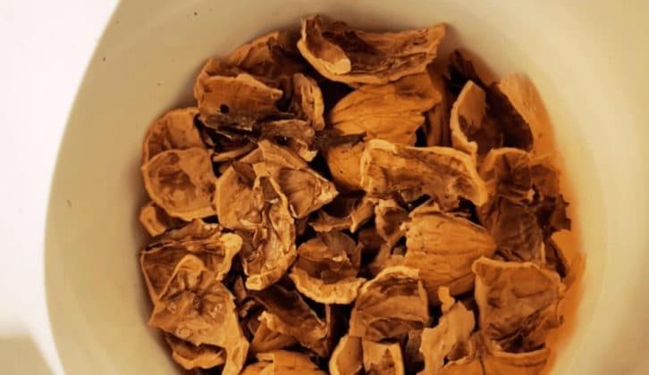 Горіхову шкаралупу не викидаю. Для розсади це справжня паличка-виручалочка