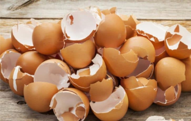 Коли дізналася, навіщо подруга варить яєчну шкаралупу, то перестала її викидати.