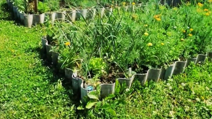 Скажіть «прощавай» прополю: бюджетні доріжки між грядками