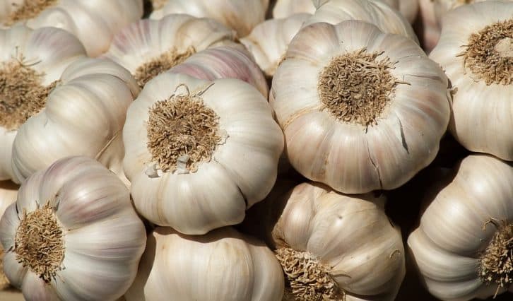 Весною опудриваю часник такою сумішшю. Зубчики ростуть великі і пір’я ніколи не жовтіють