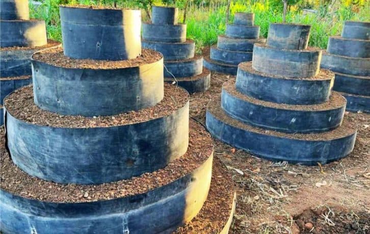 Багаторівневий сад на ділянці: як зробити своїми руками та в чому його плюси