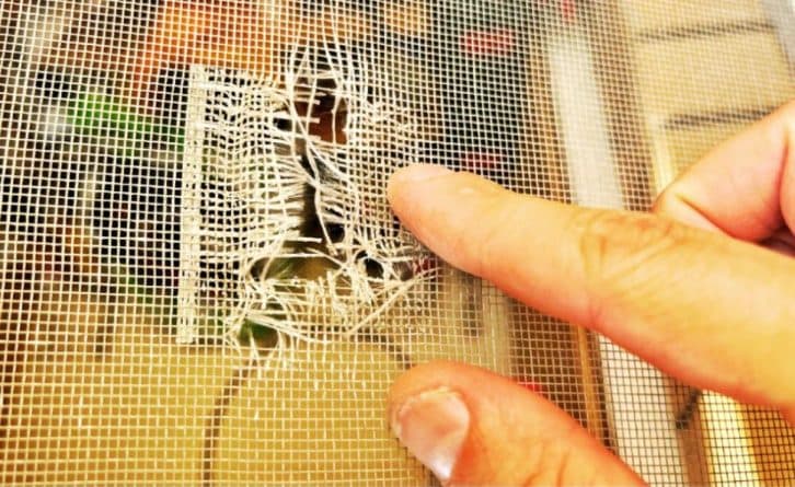 Як за 5 хвилин полагодити дірку в москітній сітці. Впорається кожна господиня